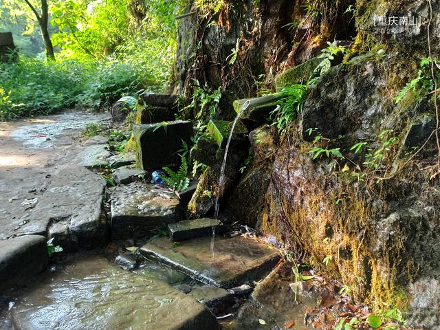 重庆南山登山入门攻略：清水溪步道