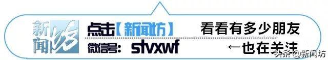 上海街头掉满的小果子，有人说可以采来吃、或者泡酒？