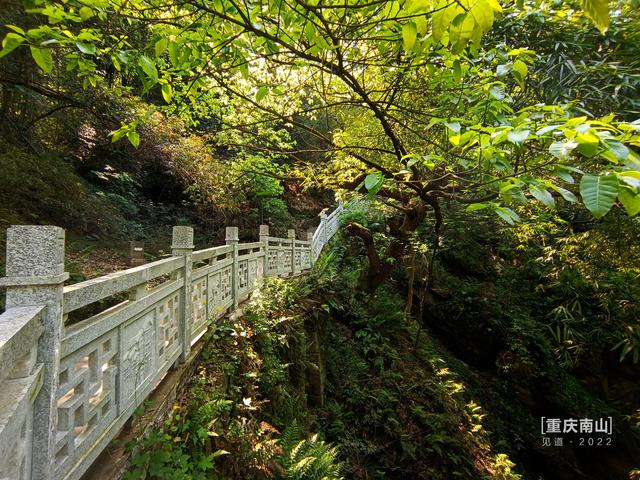 重庆南山登山入门攻略：清水溪步道