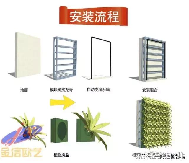 金信欧艺植物墙施工流程及工艺