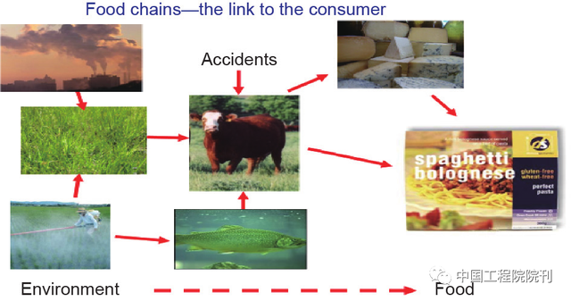 前沿研究丨食品安全与健康面临的挑战与发展思路
