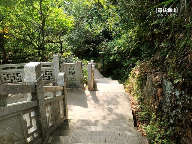 重庆南山登山入门攻略：清水溪步道