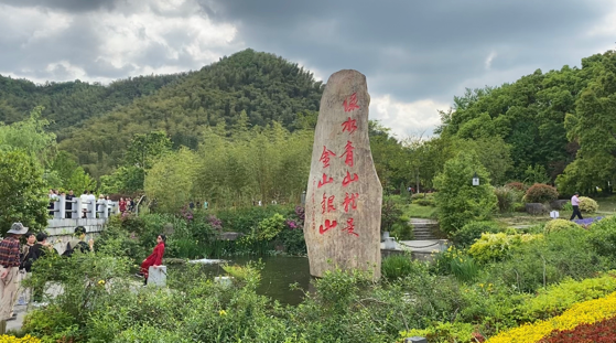 浙江安吉：税惠赋能绿色发展，助力守护绿水青山