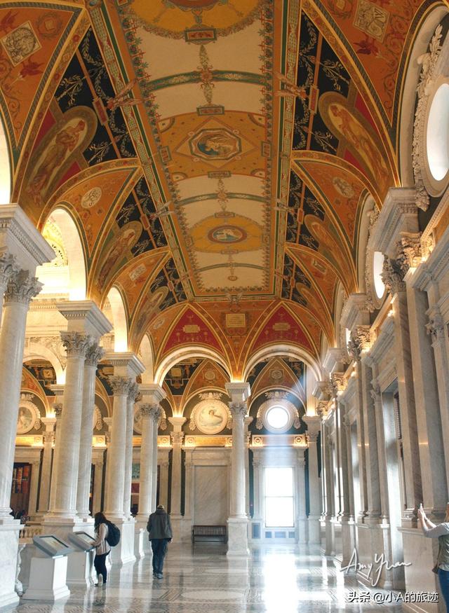 太美了！美国国会图书馆 Library of Congress #旅行# #图书馆#