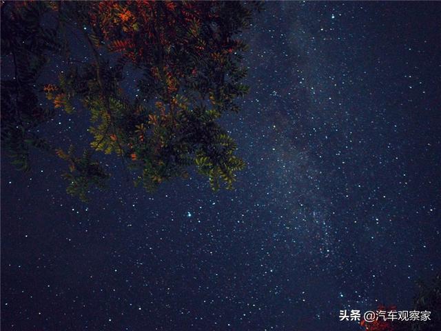 房车+星空，这样的途居露营地你爱了吗？