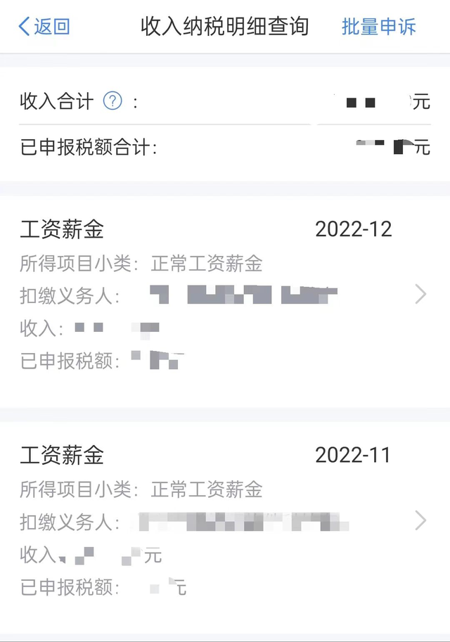 个税APP如何查询个人收入纳税明细？操作指引来了~