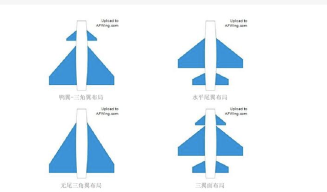 全球第五代战机，为什么就歼20采用鸭翼？独创设计，美国也将采用