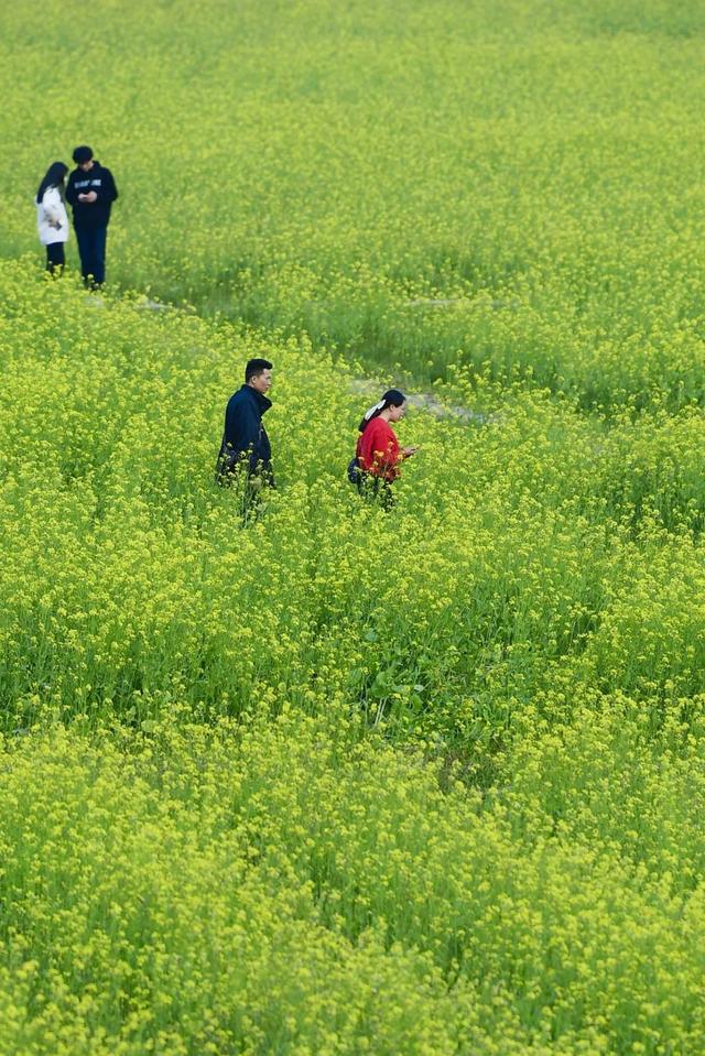 如果你要聊三月，就不能只聊三月