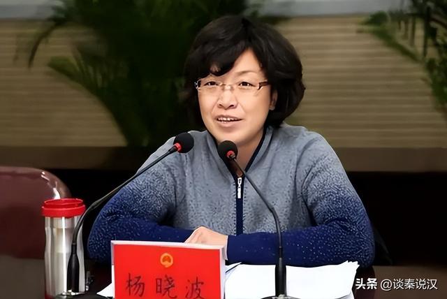 山西女市长杨晓波，靠权色交易升官，41个贪官跟她睡，敛财1400万