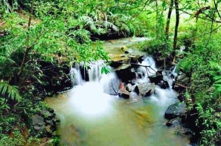 广州芙蓉嶂旅游区风光秀美，景区内名胜古迹荟萃