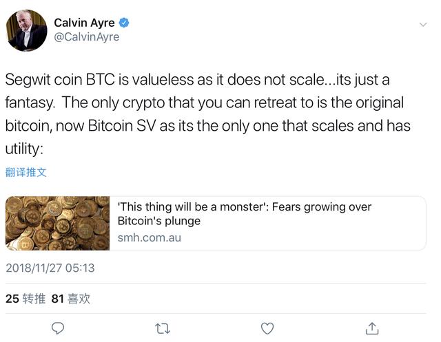 Calvin Ayre：SV是唯一可扩展且具有效用的比特币