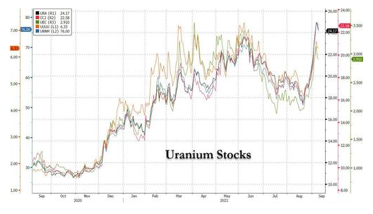 大量资金流入，铀矿股大涨，发生了什么？