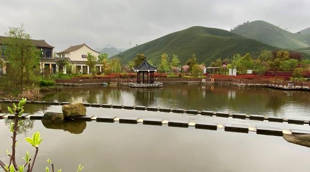 西塞山前白鹭飞，桃花流水鳜鱼肥，在湖州妙西古镇寻访一千多年前的诗意田园