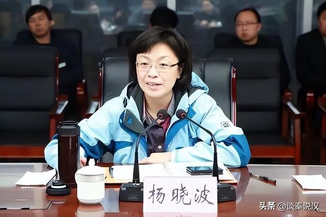 山西女市长杨晓波，靠权色交易升官，41个贪官跟她睡，敛财1400万