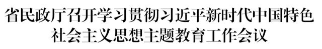 省民政厅召开学习贯彻习近平新时代中国特色社会主义思想主题教育工作会议