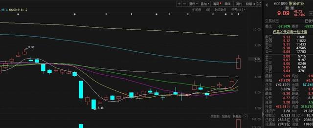 再投40亿元买金矿 紫金矿业股价一度涨停