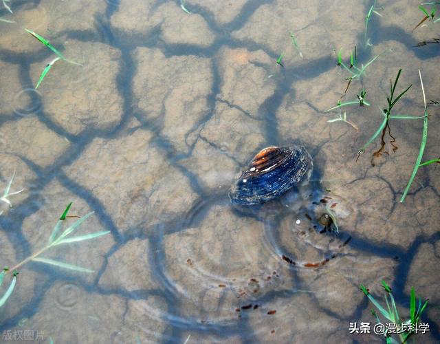 为什么有时候雨越大越要人工增雨，专家：不增雨后果可能更严重