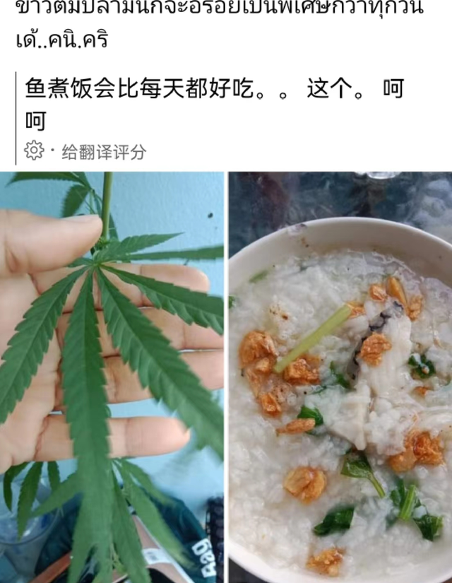 威胁员工、剽窃设计，用吸毒人员出镜，3月翻车网红各有各的奇葩