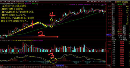 职业操盘手透露MACD获利的三种战法，领悟了精髓，轻松擒牛股！