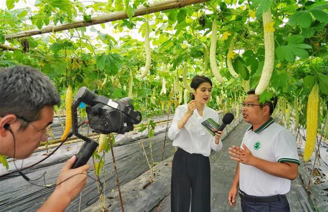 专家田间晒成果 农民云端选技术2023成渝地区双城经济圈农业科技成果推介会在潼南区举行