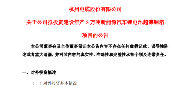 净利不到亿元公司投资50亿项目，魄力还是赌力？