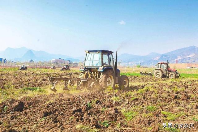 还能再种2年地？“集中耕种”下，土地归谁又该如何继承？早知晓