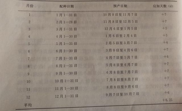 西门塔尔牛高效繁殖技术二(妊娠期)