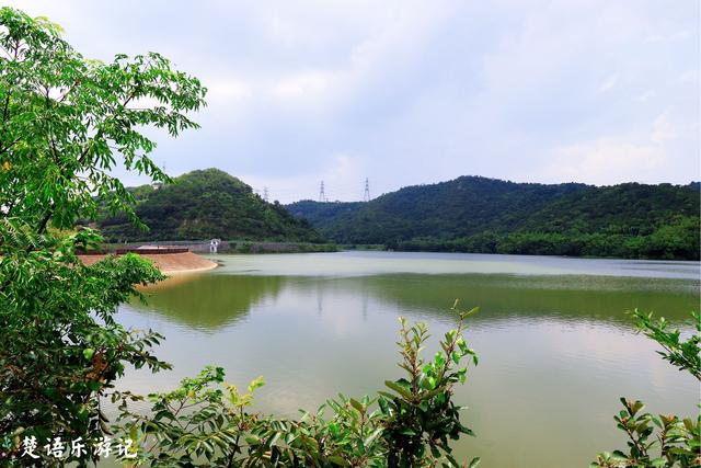 宁波市这个网红花海旁的景色也很美，有山有湖，成周末休闲好去处