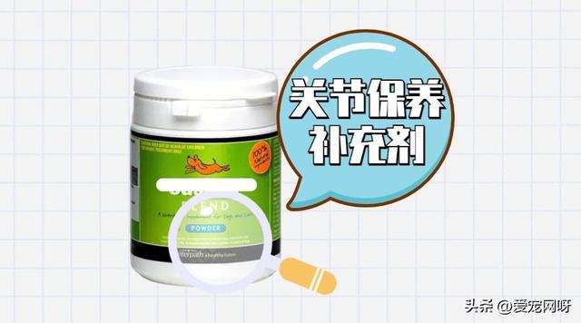 宠物营养品怎么选？看这篇就够了