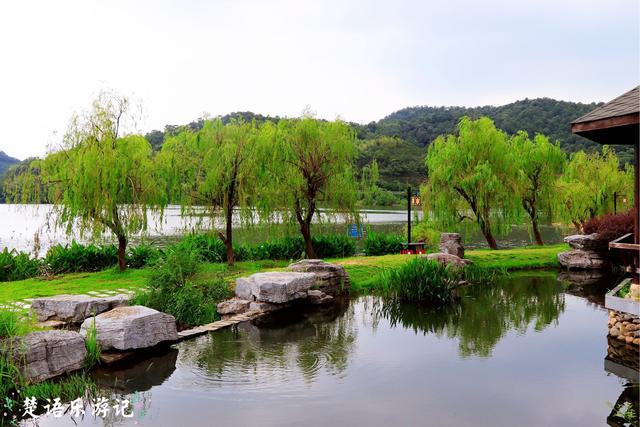 宁波市这个网红花海旁的景色也很美，有山有湖，成周末休闲好去处