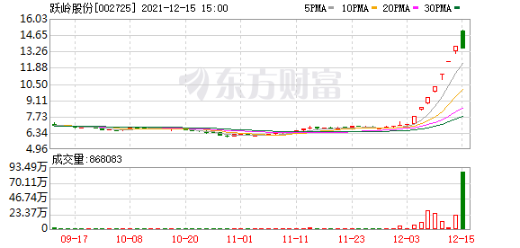 多主力现身龙虎榜，跃岭股份跌停（12-22）