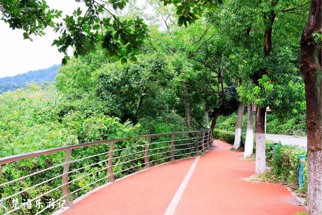 宁波市这个网红花海旁的景色也很美，有山有湖，成周末休闲好去处