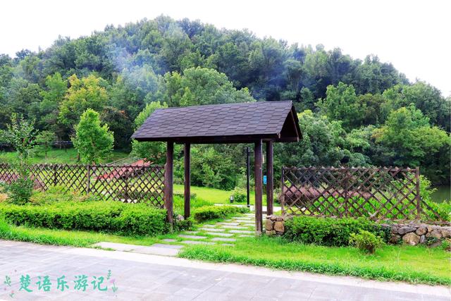 宁波市这个网红花海旁的景色也很美，有山有湖，成周末休闲好去处