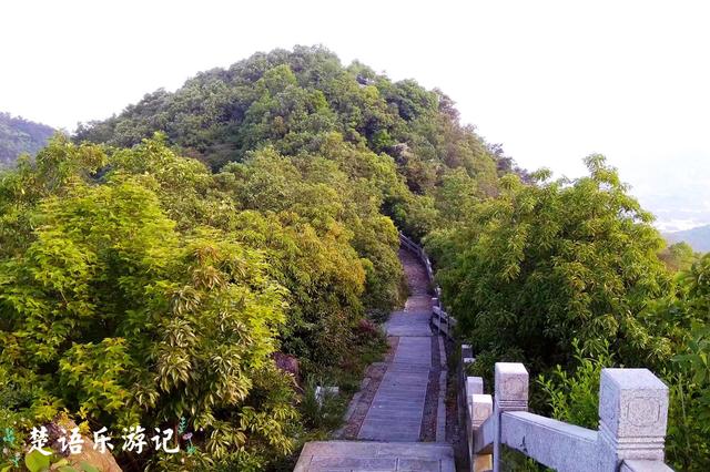 宁波市这个网红花海旁的景色也很美，有山有湖，成周末休闲好去处