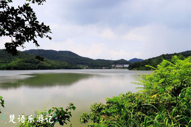 宁波市这个网红花海旁的景色也很美，有山有湖，成周末休闲好去处