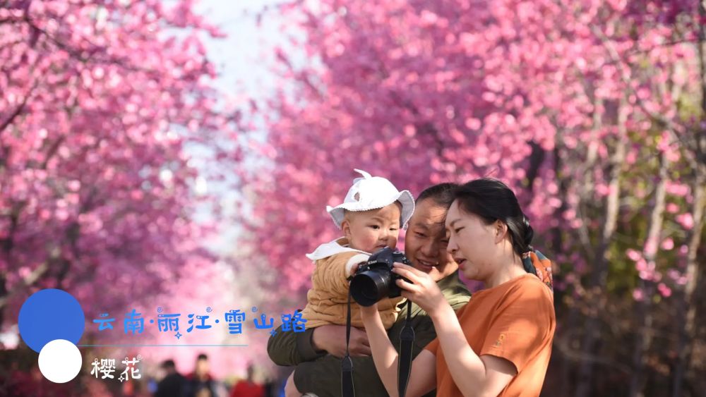 这些路，一到春天，就是花园！