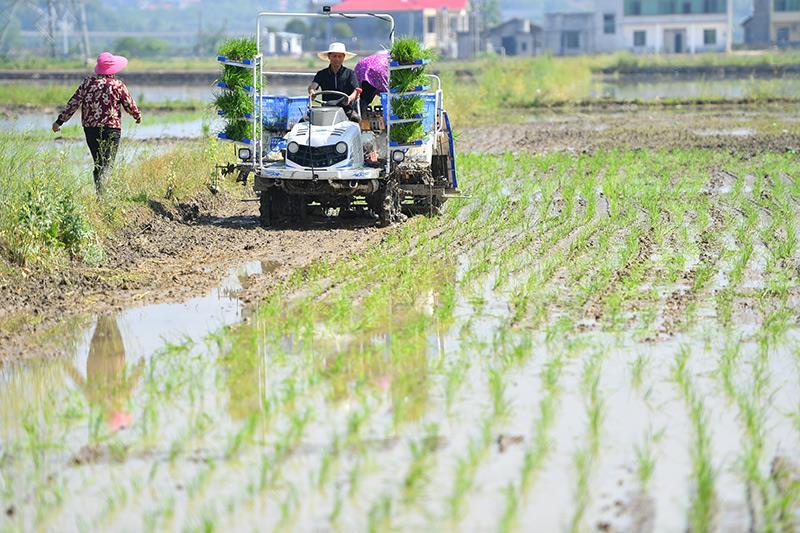 时政微观察丨总书记多次强调“精气神”