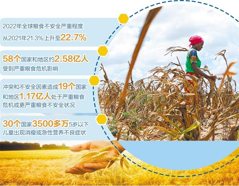 联合国粮农组织发布报告显示——全球粮食危机进一步加剧