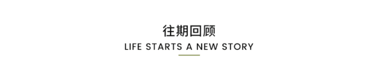 闵行天宸国际社区合院别墅-楼盘分析