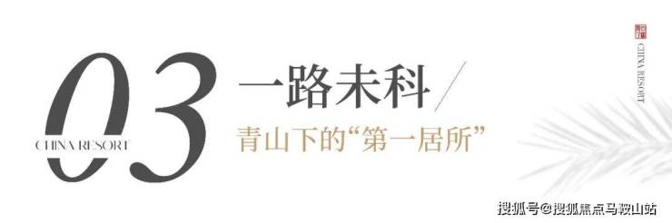 江南大院怎么样丨杭州临安江南大院2023最新动态丨欢迎您丨房源丨优惠