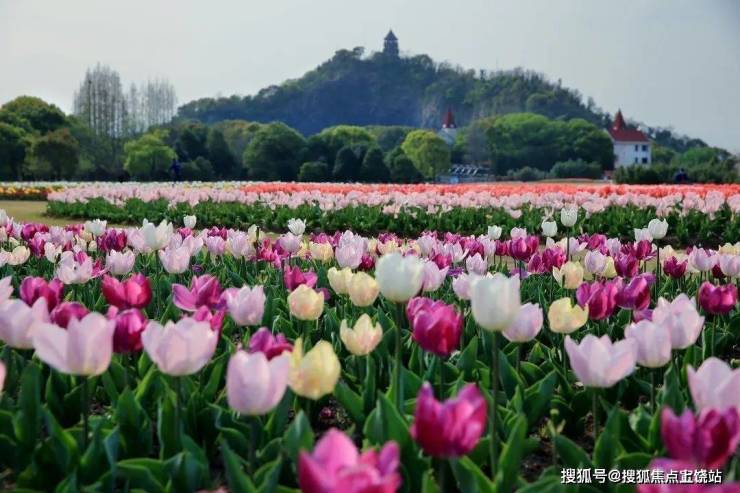 松江佘山 上坤樾山壹号 楼盘百科