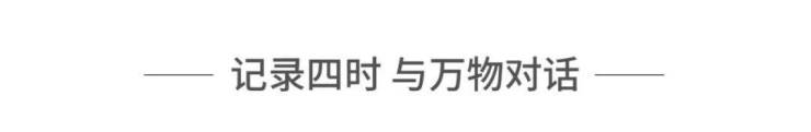 美的西径晓风丨杭州临安美的西径晓风2023最新房价丨详情丨交通丨户型 丨配套