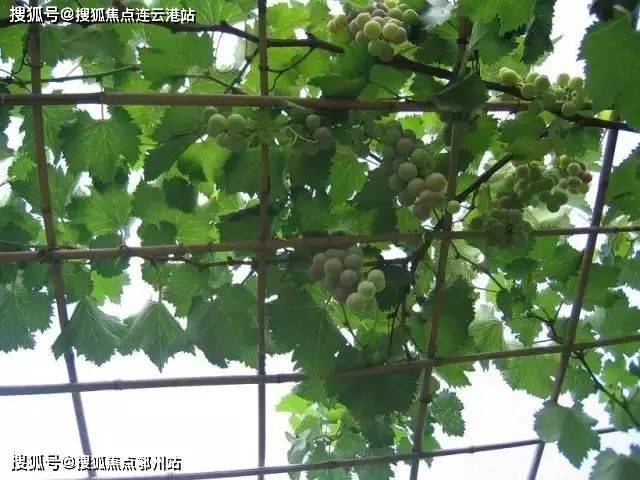 江湾国际江上院子售楼处-2023江湾国际江上院子详情!欢迎您!!-新消息