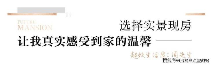 新未来樾湖(上海金山)丨新未来樾湖欢迎您丨新未来樾湖丨新未来樾湖楼盘详情