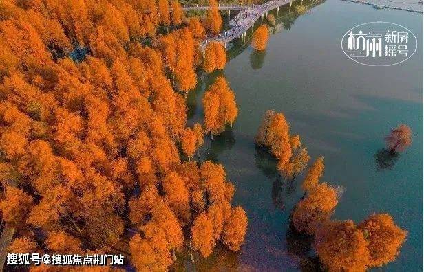 香港兴业国际耦贤里售楼处-临安青山湖稀缺联排-户户带庭院-临安青山湖耦贤里