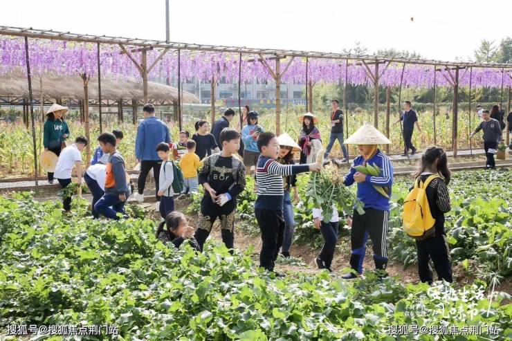 首页-绿城.安吉桃花源丨绿城桃花源丨最新房价丨交通丨户型丨绿城桃花源详情