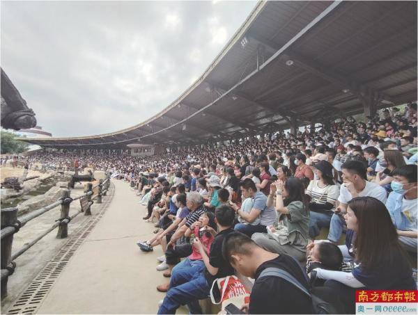 烟火气升腾中的深圳 如何打造城市旅游IP