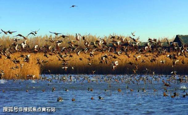 岛上的院子地铁开通时间-