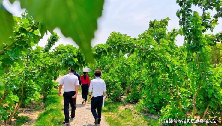 2023蚕桑文化节 - 崇明岛大爱城【营销中心】崇明岛大爱城-售楼处