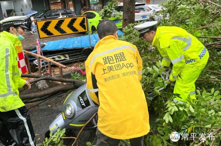 常平暴雨来袭,他们迅速除隐患保畅通